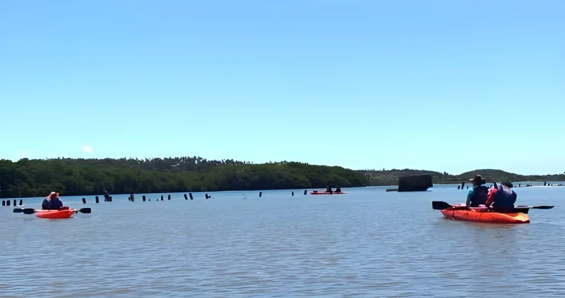Expedições em Pernambuco com a Tribo da Trilha