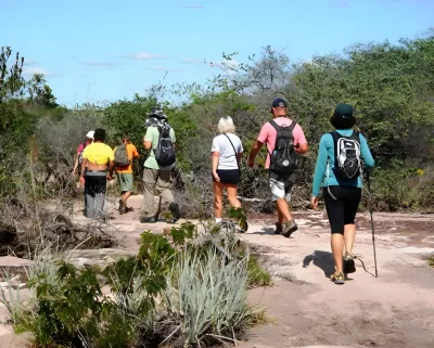 Trilha / Hiking em Pernambuco