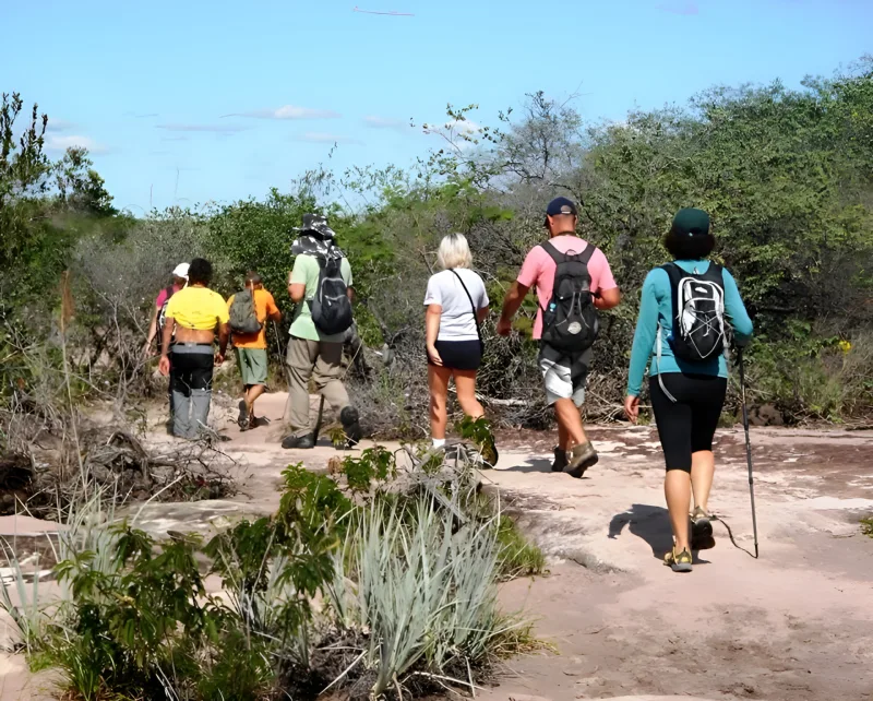Trilha / Hiking em Pernambuco com a Tribo da Trilha
