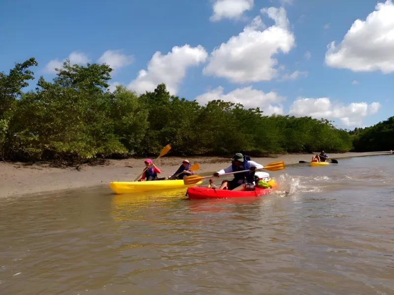 Passeio de caiaque em rio de Pernambuco com a Tribo da Trilha (foto 1)