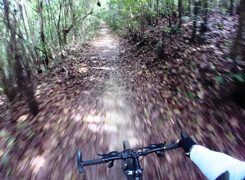 Cicloturismo: grupo pedalando em Pernambuco com a Tribo da Trilha (foto 3)