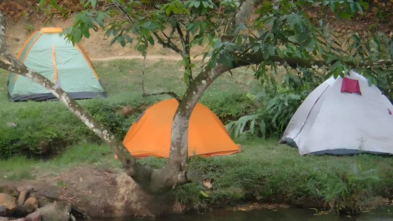 Camping em meio à natureza em Pernambuco com a Tribo da Trilha (foto 6)