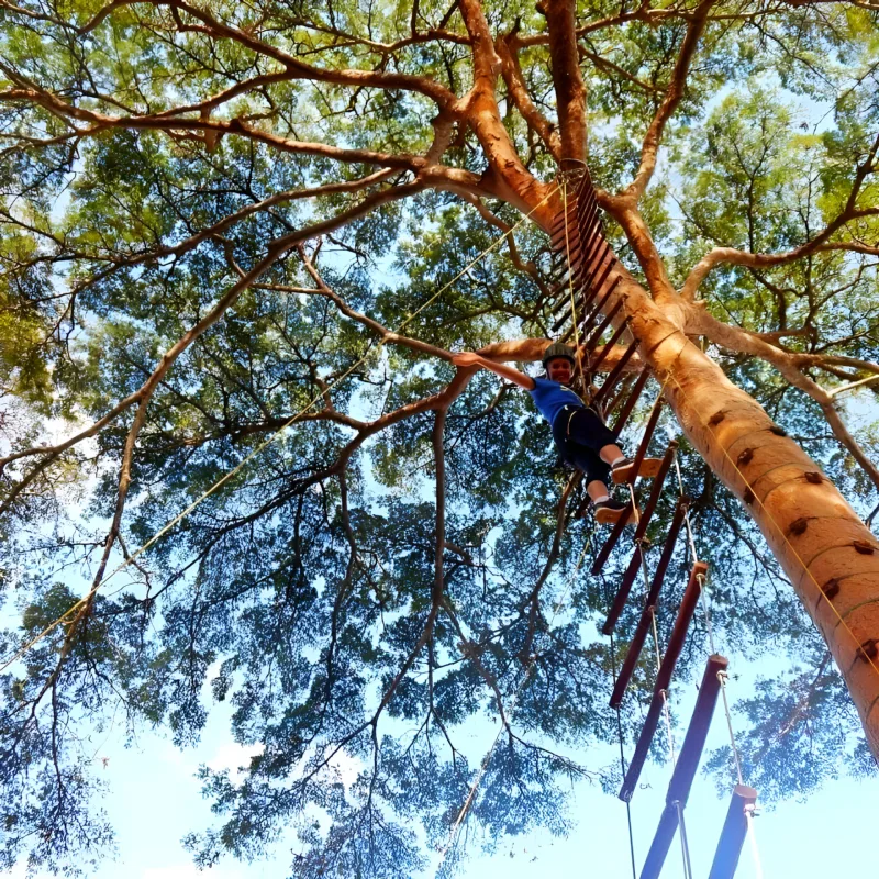 Circuito de arvorismo em Pernambuco com a Tribo da Trilha (foto 6)