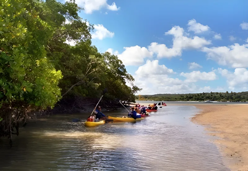 Passeio de caiaque em rio de Pernambuco com a Tribo da Trilha (foto 5)