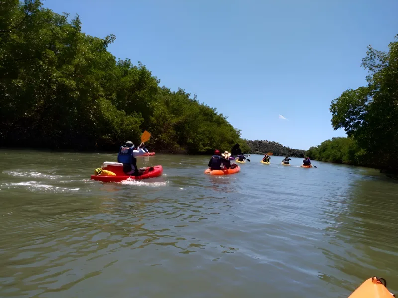Passeio de caiaque em rio de Pernambuco com a Tribo da Trilha (foto 2)